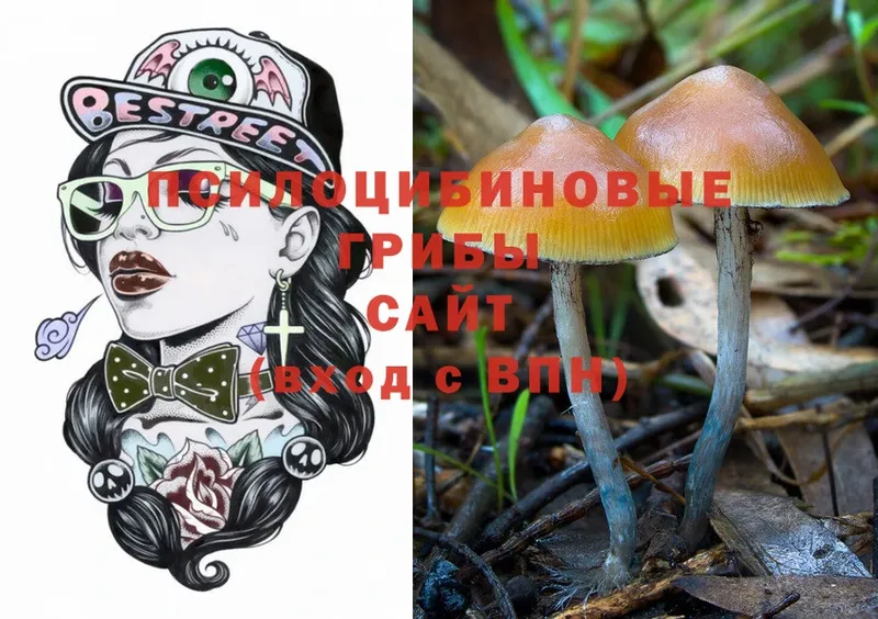 где продают наркотики  Глазов  кракен   Галлюциногенные грибы Psilocybine cubensis 